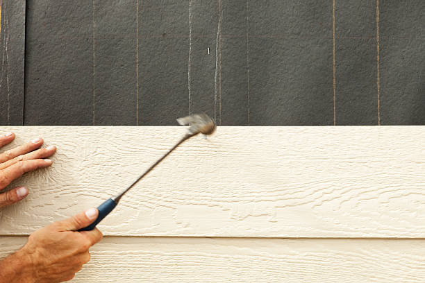 Best Siding Painting and Refinishing  in Kana, UT